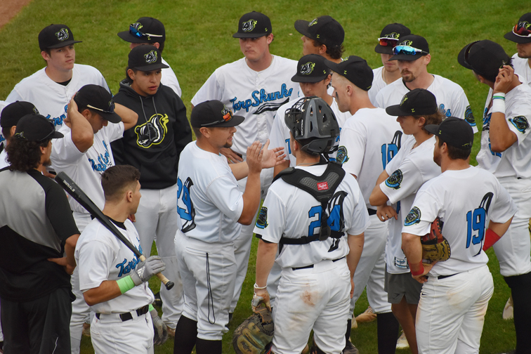 baseball team jobs